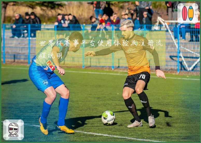 世界杯赛事平台使用体验及注册流程说明