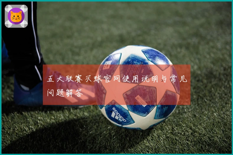 五大联赛买球官网使用说明与常见问题解答