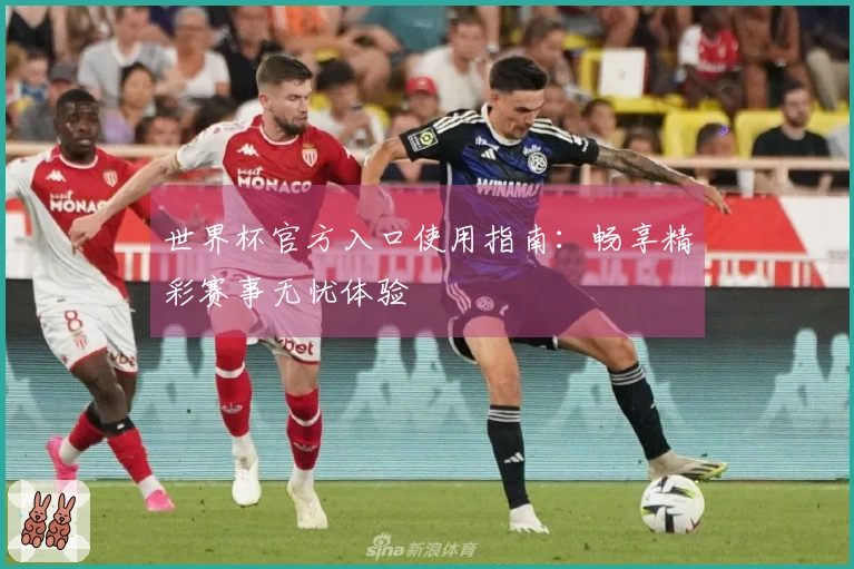 世界杯官方入口使用指南：畅享精彩赛事无忧体验
