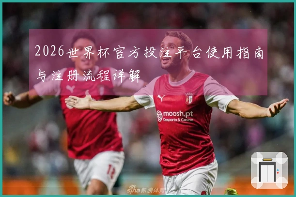 2026世界杯官方投注平台使用指南与注册流程详解