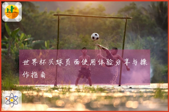 世界杯买球页面使用体验分享与操作指南