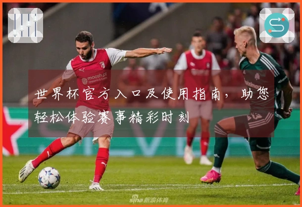 世界杯官方入口及使用指南，助您轻松体验赛事精彩时刻