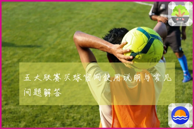 五大联赛买球官网使用说明与常见问题解答