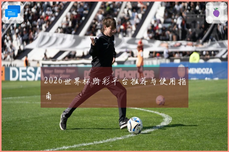 2026世界杯购彩平台推荐与使用指南