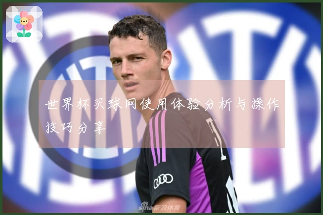 世界杯买球网使用体验分析与操作技巧分享