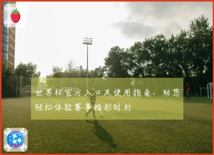 世界杯官方入口及使用指南，助您轻松体验赛事精彩时刻