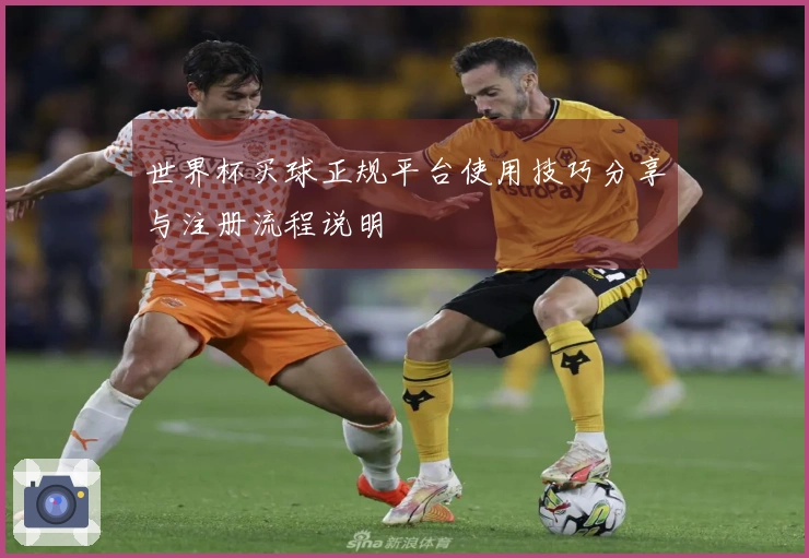 世界杯买球正规平台使用技巧分享与注册流程说明